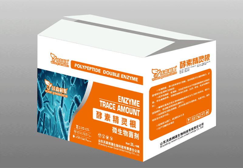 酵素精灵根